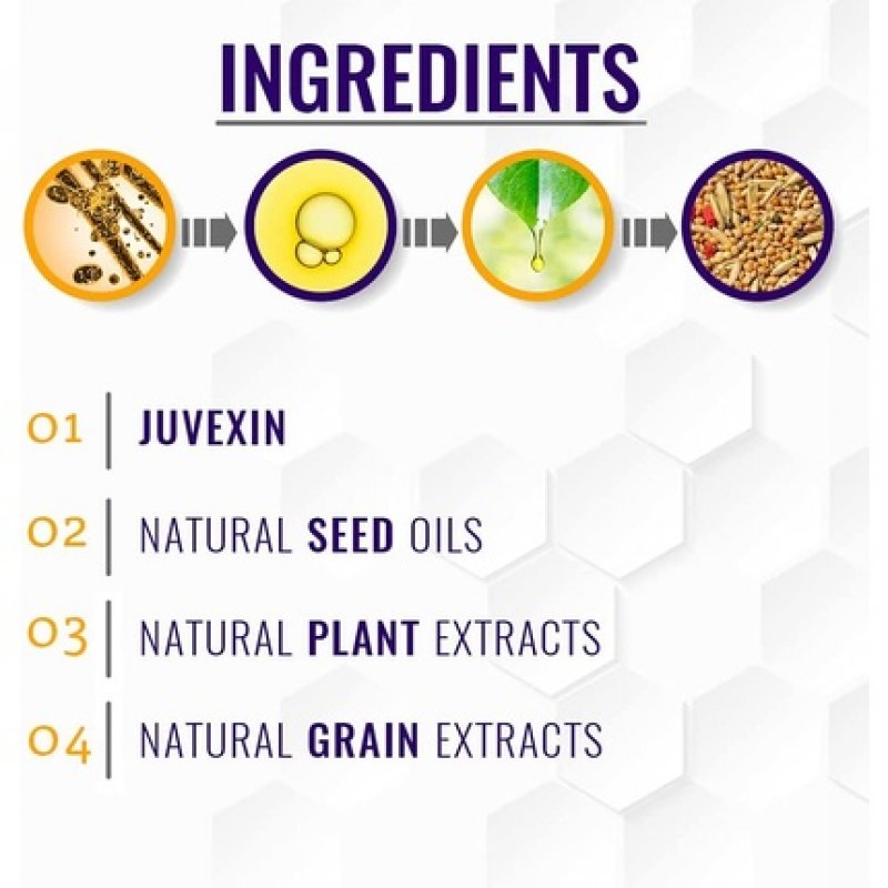 GK HAIR Global Keratin Silver Bombshell Purple Shampoo 280ml 9.5 Fl Oz - For Blonde Platinum Ash Silver and Gray Hair