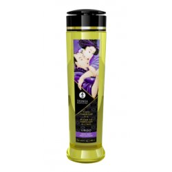 SHUNGA 0697309012027 massage cream & oil Massage oil 240 ml Fruit