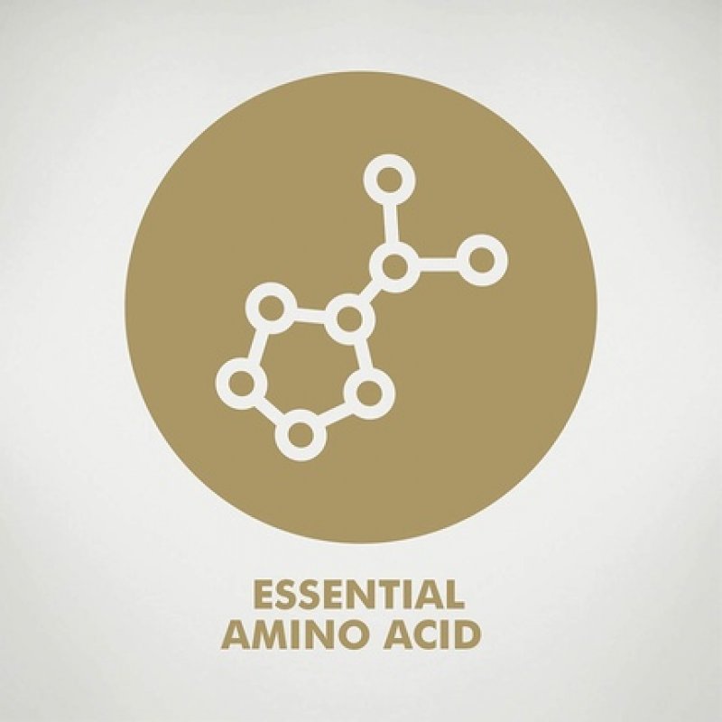 Solgar L-Lysine 1000mg Tablets Support For an Active Lifestyle 50 Tablets