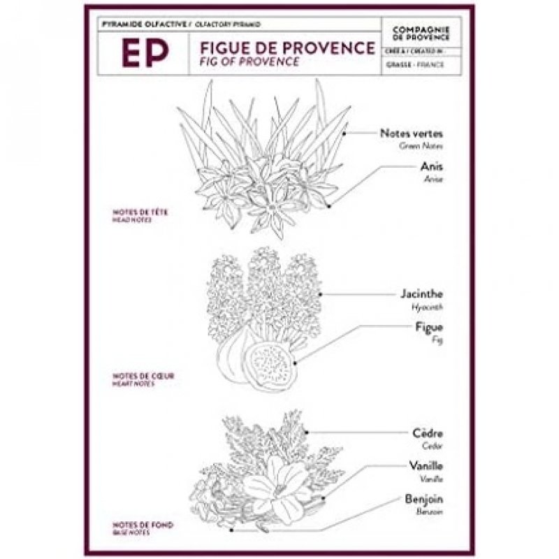 Compagnie de Provence Provence Liquid Soap Fig with Sweet Fruity Notes 495ml