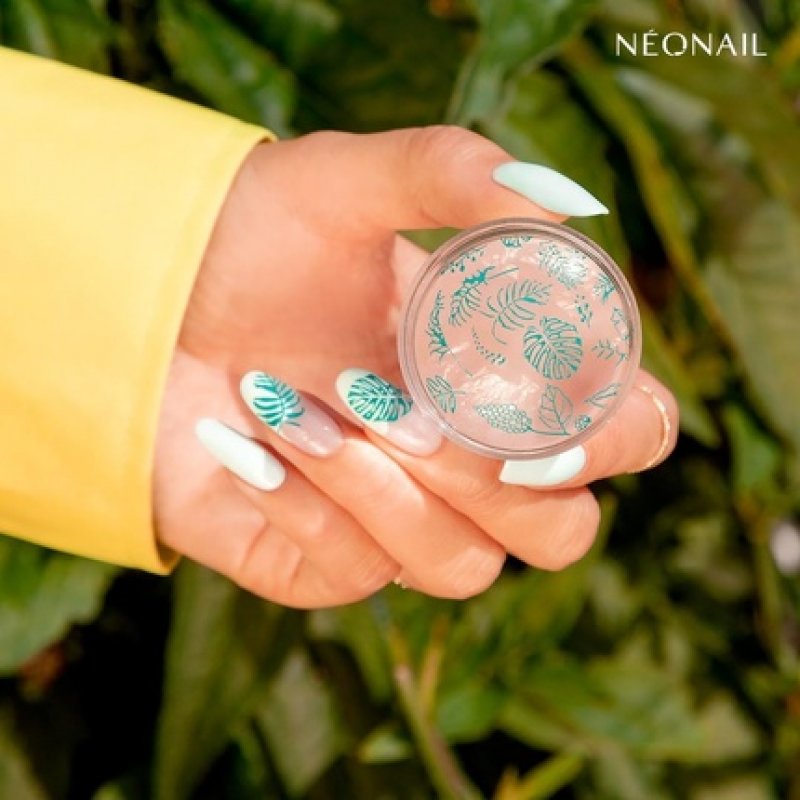 NEONAIL Nail Stamp with Scraper Stamp