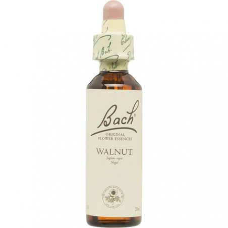 Flower BACH Walnut 20ml