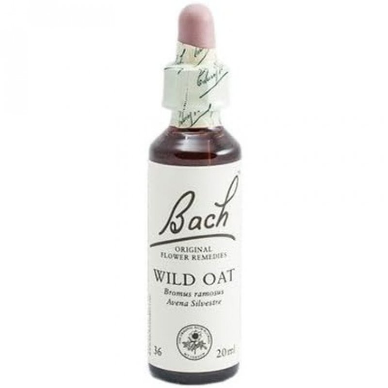 Original Bach Flowers Wild Oat 20ml