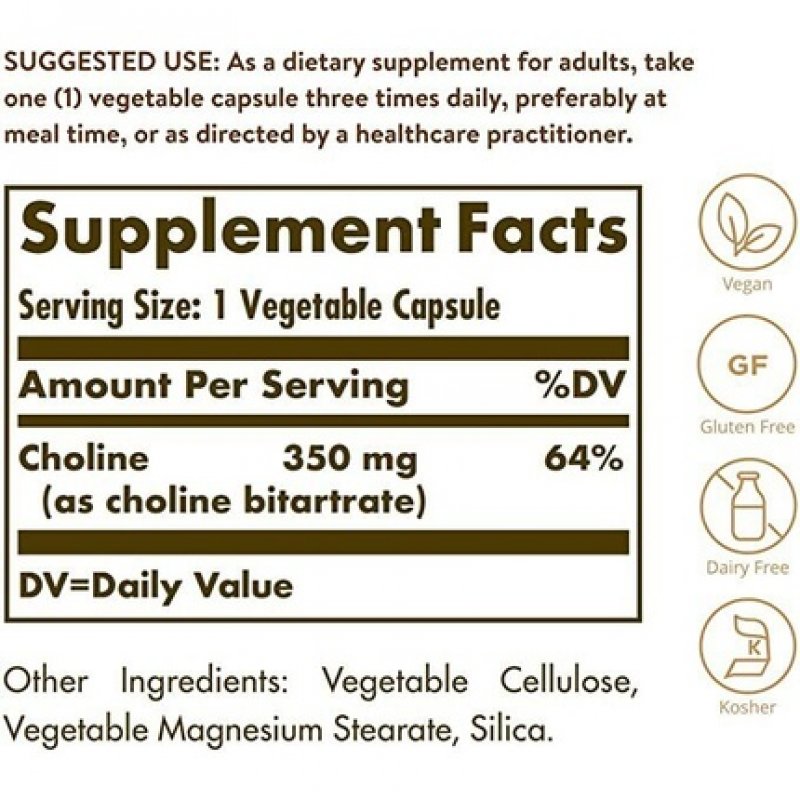 Solgar Choline 350mg Healthy Liver Function Supports Fat Metabolism 100 Vegetable Capsules