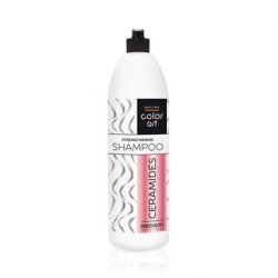 Chantal Prosalon Color Art Ceramides Shampoo 1000ml