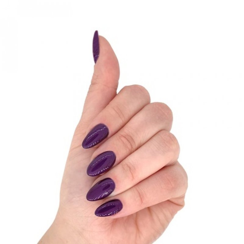 Layla Cosmetics Laylagel Polish Color Purple Passion 0.01L