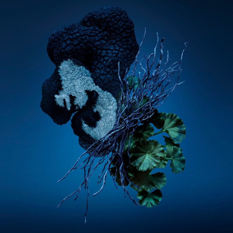 Carolina Herrera Bad Boy Cobalt 50 ml Hommes