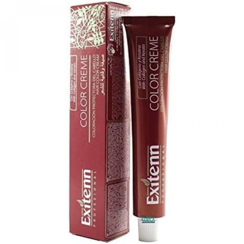 Exitenn Color Creme 6.1 Dark Blonde Ash 60ml
