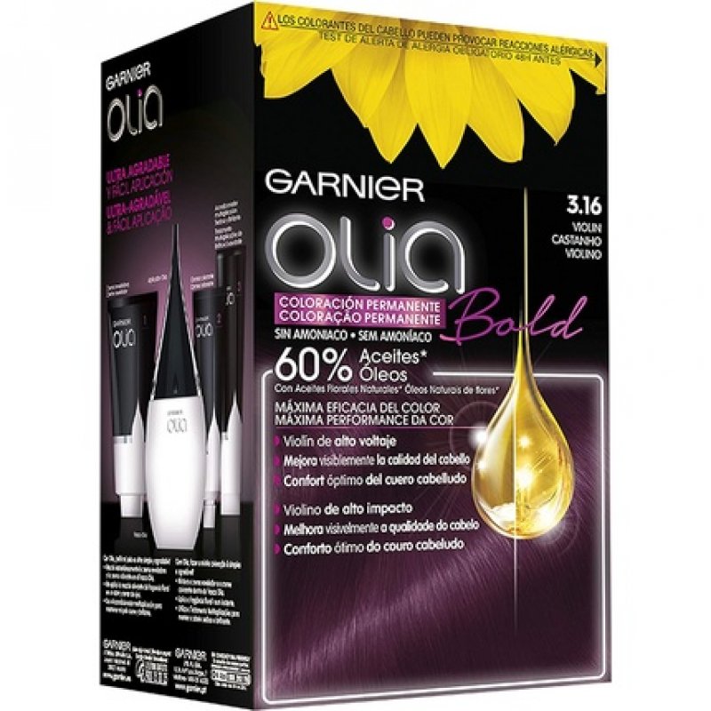 Garnier Colour Accessories 3.16 Violin 1 Count