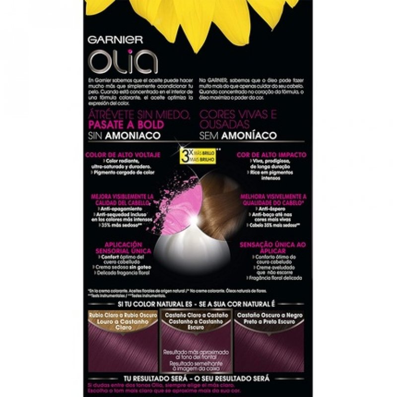 Garnier Colour Accessories 3.16 Violin 1 Count