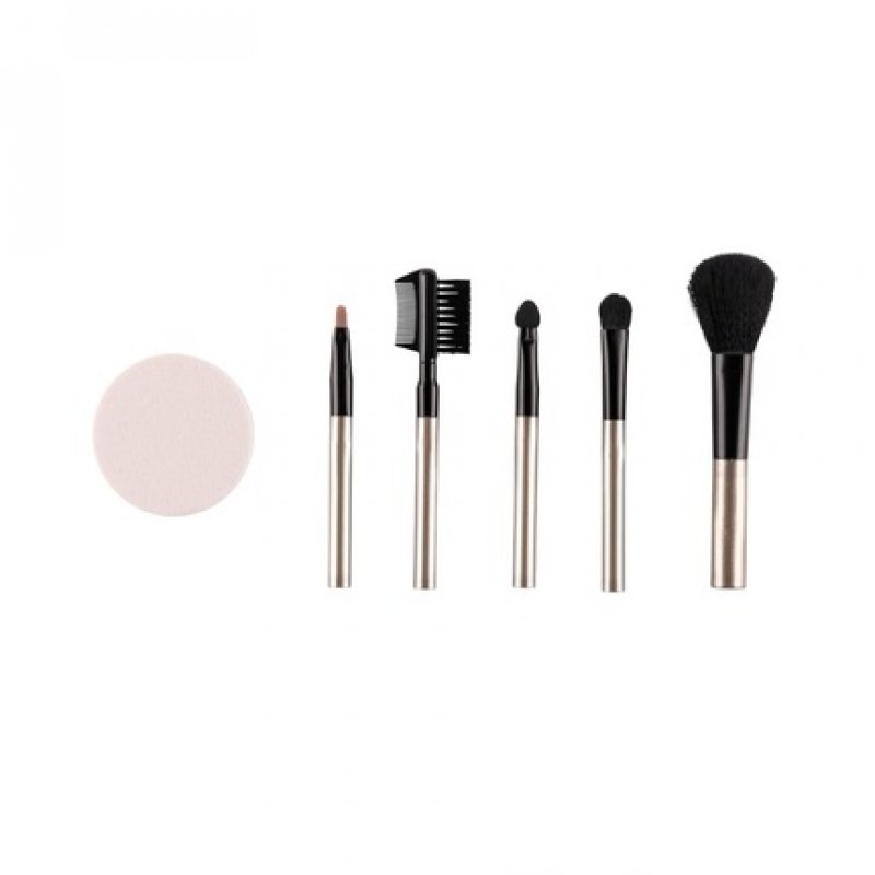 QVS Cosmetic Brush Set Makeup Brushes 6 Pieces - Rouge Brush, Eyeshadow Applicator, Eyeshadow Brush, Lip Brush, Makeup