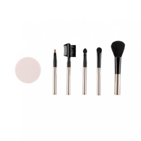QVS Cosmetic Brush Set Makeup Brushes 6 Pieces - Rouge Brush, Eyeshadow Applicator, Eyeshadow Brush, Lip Brush, Makeup