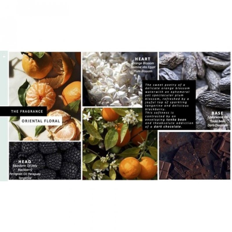 Daydream Intimate Women's Secret EDP 100ml 3.4 Ounces