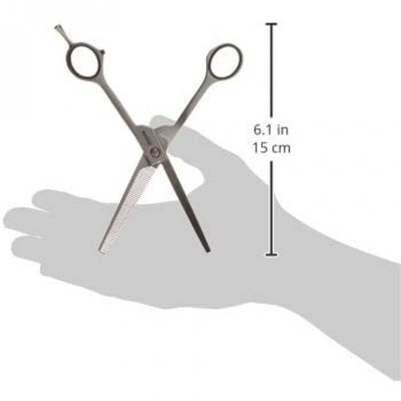 Satin Plus ES 46 6.5 Hair Scissors