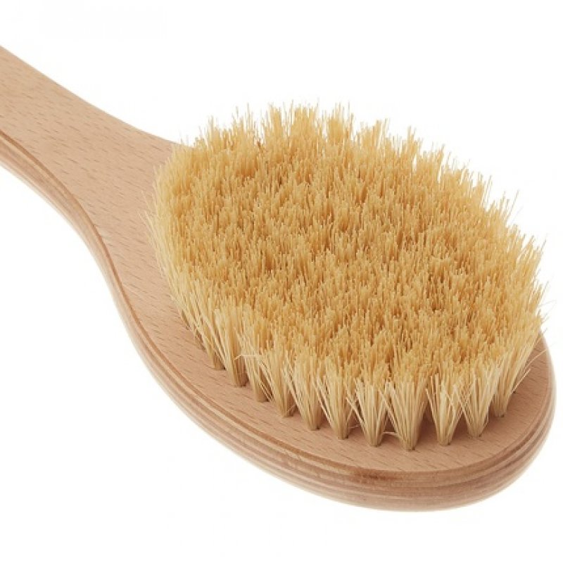 The Body Shop Cactus Long Handle Body Brush