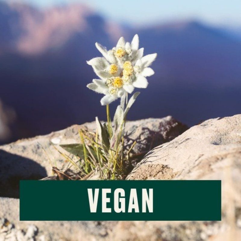 The Body Shop Edelweiss Daily Serum Concentrate 1.69 Fl Oz