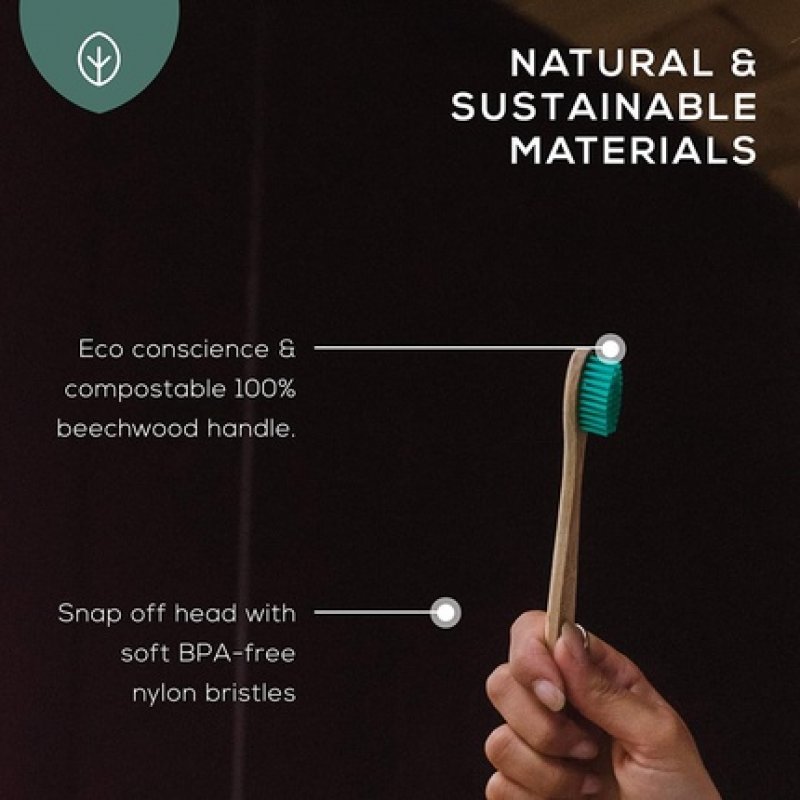Georganics Beech Toothbrush Eco-Friendly Compostable Handle BPA-Free Bristles Adult Medium