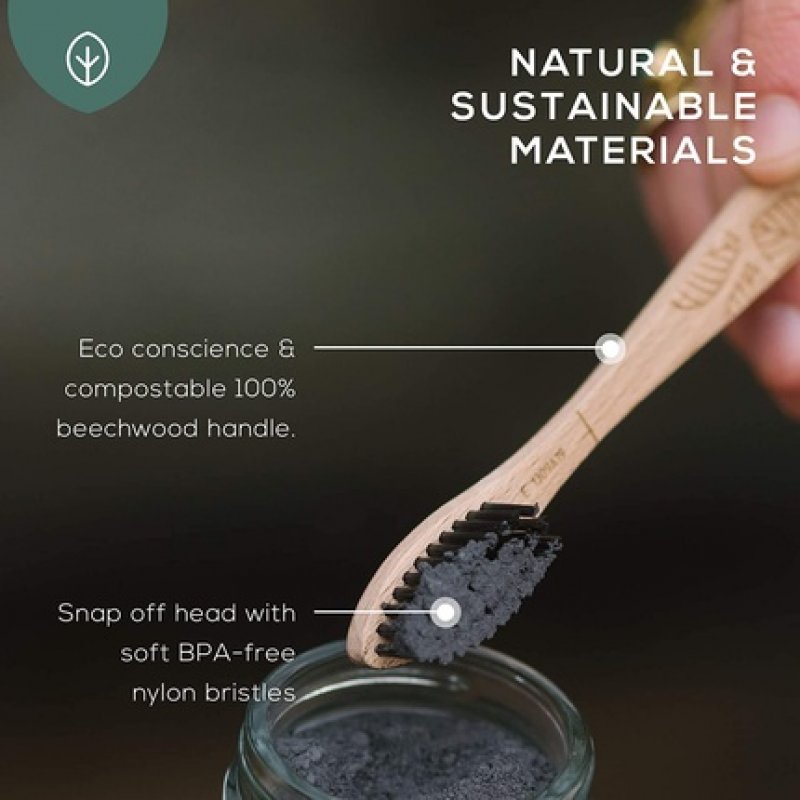 Georganics Beech Toothbrush Eco-Friendly Compostable Handle with BPA-Free Bristles Adult Soft
