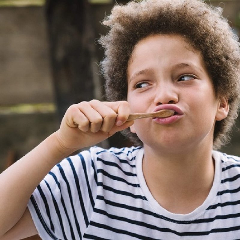 Georganics Beech Toothbrush Eco-Friendly Compostable Handle BPA-Free Bristles for Kids