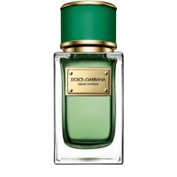 Dolce & Gabbana Velvet Cypress Eau de Parfum Spray 1.7 Ounce