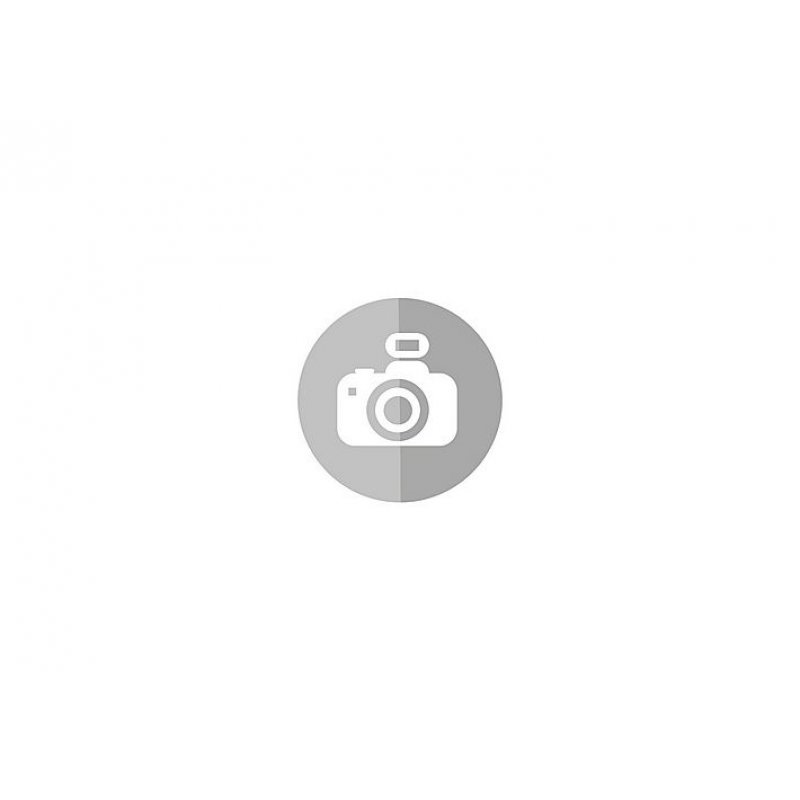 Playmobil 71475 jouet