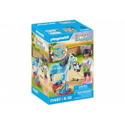 71497 Horses of Waterfall Pferdetherapeutin