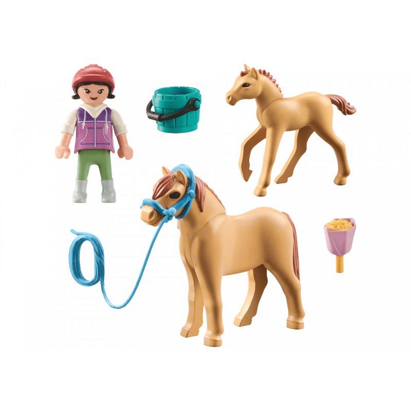 Playmobil 71498