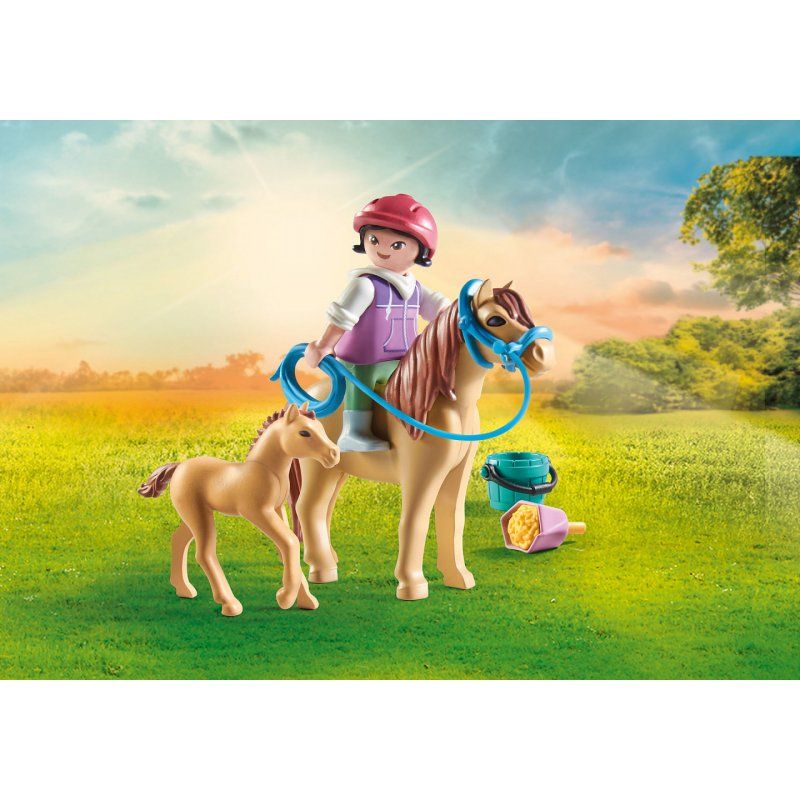 Playmobil 71498