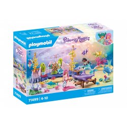Playmobil Princess 71499 toy playset