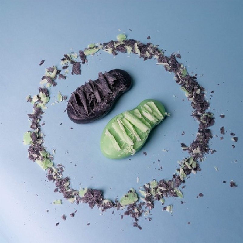 Foamie Solid Face Cleanser for Dry Skin with Aloe Vera & Almond Milk 60g