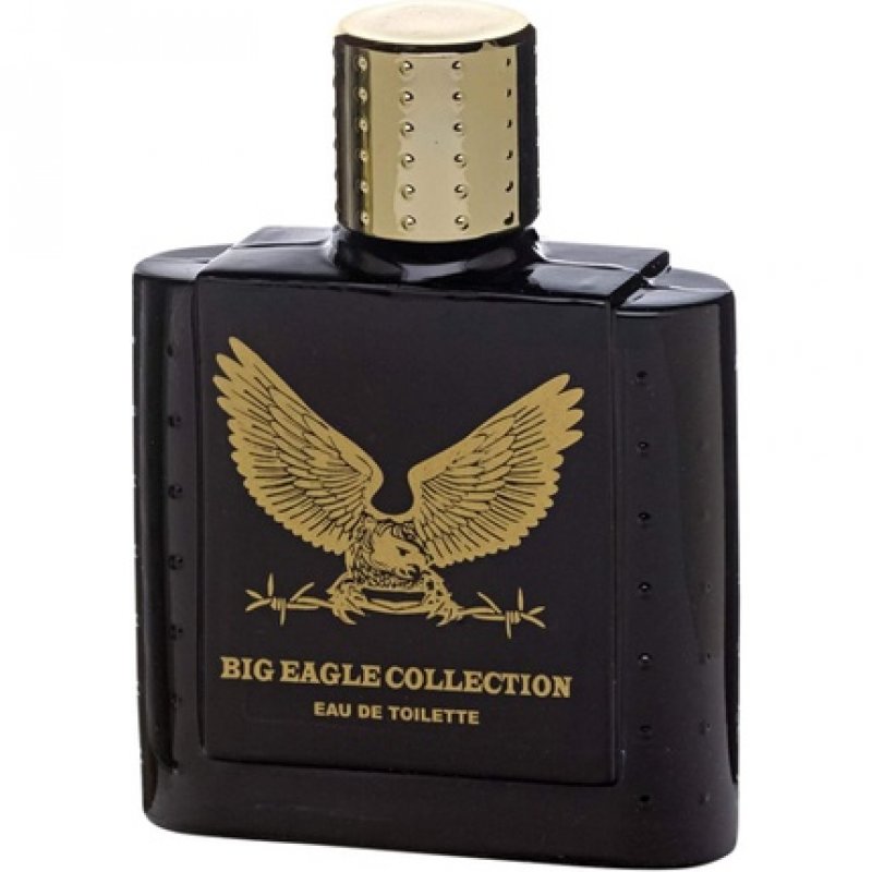 REAL TIME Men's Eau de Toilette Big Eagle Black 100ml