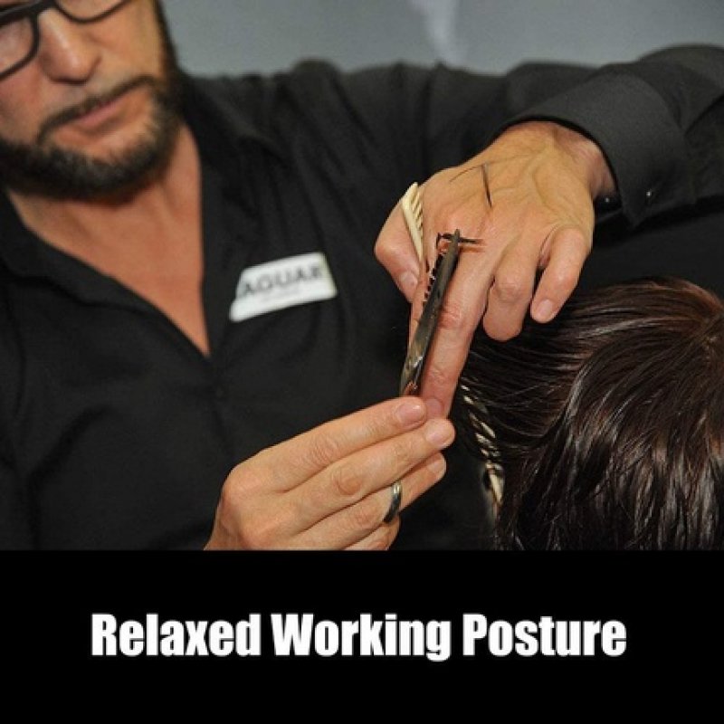 Jaguar White Line Silver Ice Classic Hairdressing Scissors 5.5 inch Length - Silver