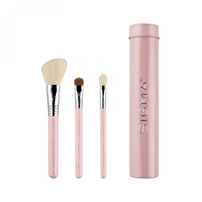 Sigma Beauty Travel Essential Trio Makeup Brush Set for Foundation Powder Eyeshadow 3 Tool Brushes with Brush Tin
