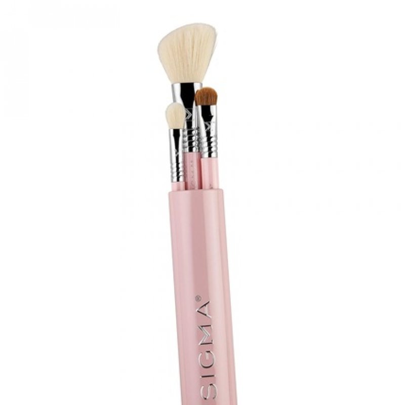 Sigma Beauty Travel Essential Trio Makeup Brush Set for Foundation Powder Eyeshadow 3 Tool Brushes with Brush Tin