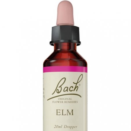 Bach Original Flower Remedy Elm Vegan Formula Flower Essences for Emotional Wellness 1 Dropper Bottle x 20ml