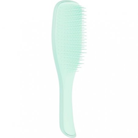 Tangle Teezer Hair Brush Wet Detangler Fine & Fragile Mint