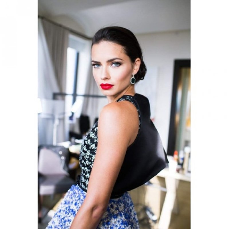 Maybelline Color Sensational Lipstick 315 Rich Plum Red