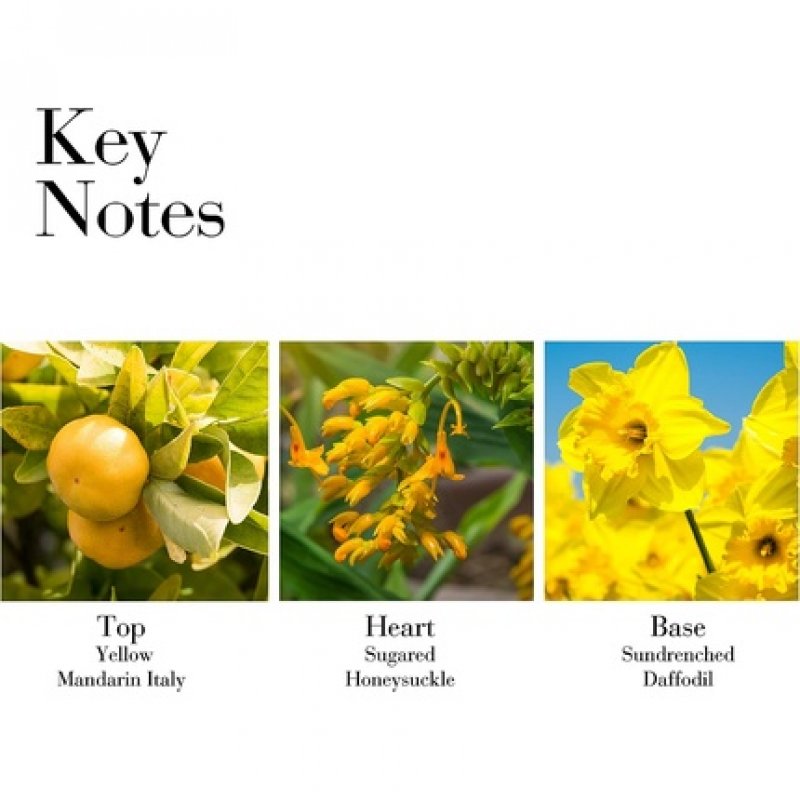 Elizabeth Arden Sunflowers Sunrise Eau De Toilette 100ml