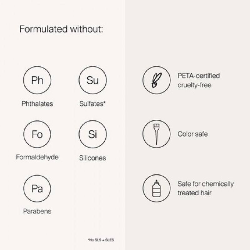 Living Proof No Frizz Smooth Styling Spray Lightweight Detangles Conditioning 5.5 oz