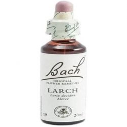 Flores De Bach Originales Fb Larch 20ml Bach Flowers