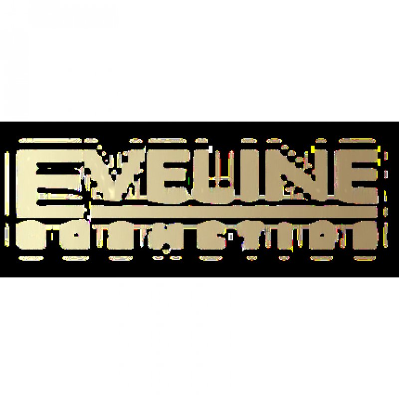 Eveline Quattro Professional Eyeshadow Palette with Eyeshadow Applicator 06 3.2g