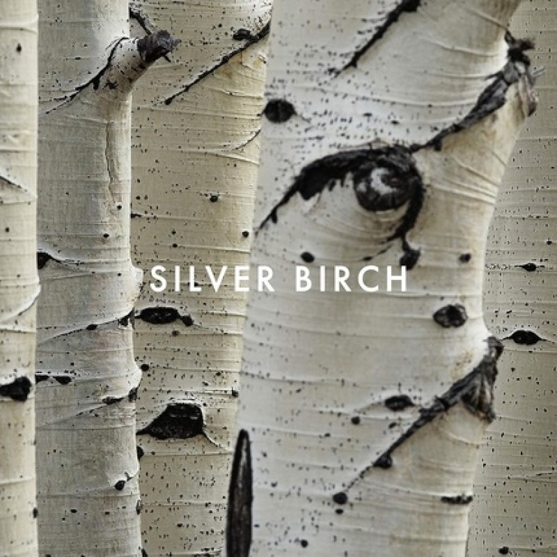 Alfred Sung Shi Eau de Parfum Spray 100ml