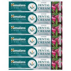 Himalaya Dental Cream Toothpaste Anti-inflammatory Anti-Swelling Gum Protection Dental Care 100g