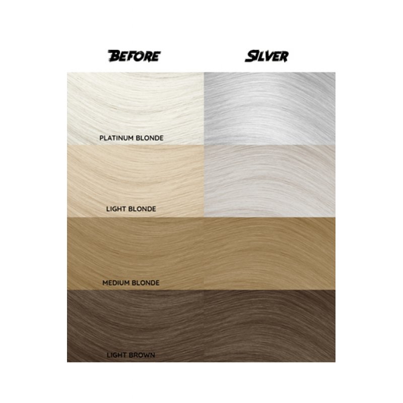 Renbow Crazy Color Semi-Permanent Hair Color Dye Silver 027 100ml
