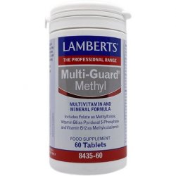 Lamberts Multiguard Methyl 60 Tablets