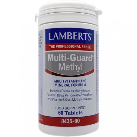 Lamberts Multiguard Methyl 60 Tablets