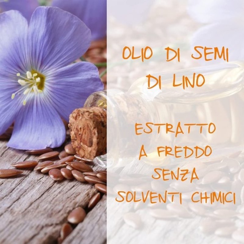 Omia Fisio Eco Bio Shampoo with Flaxseed Oil for Frizzy, Straightening and Disciplining Hair 200ml