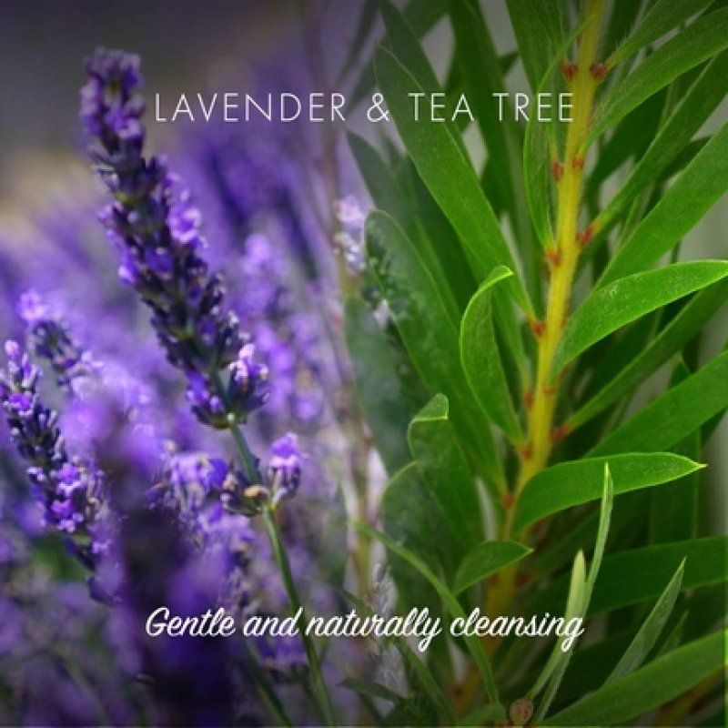 Friendly Soap Natural Lavender and Tea Tree Conditioner Bar 95g