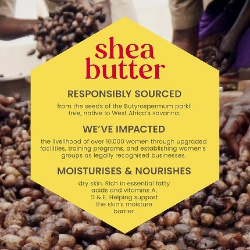 Burt's Bees Repair Hand Cream for Dry Hands with Shea Butter 50g