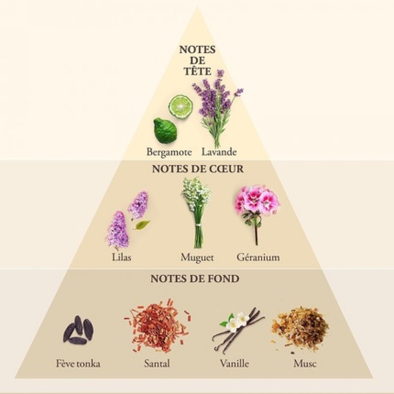 Whisky For Men Deodorant 150ml Spray Evafloris